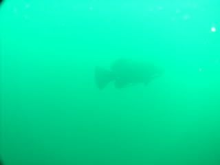 PICT0763.jpg
