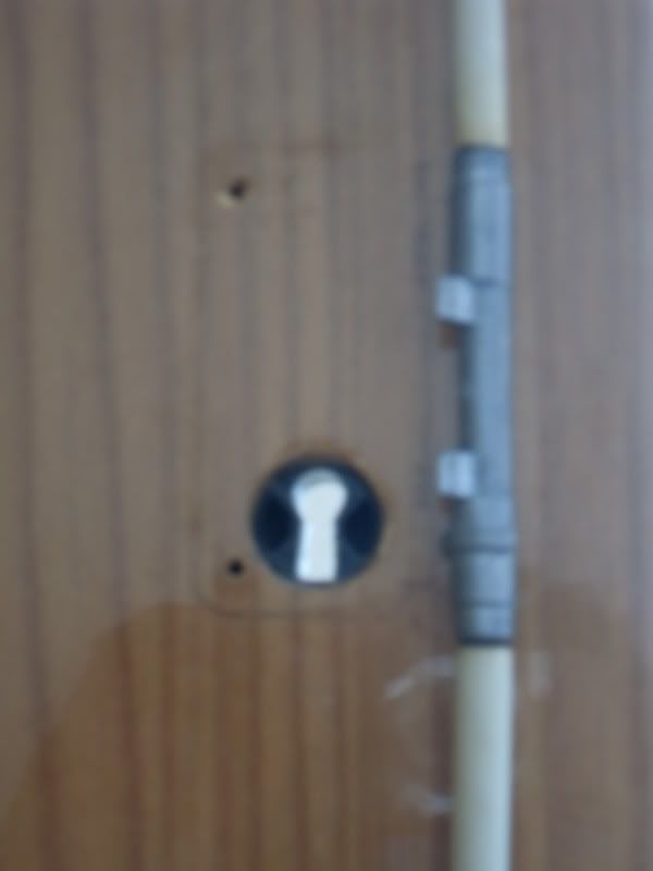SDC13289.jpg