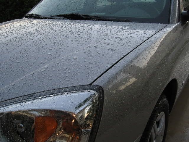 08Malibu-Silver063.jpg