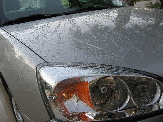 08Malibu-Silver077.jpg