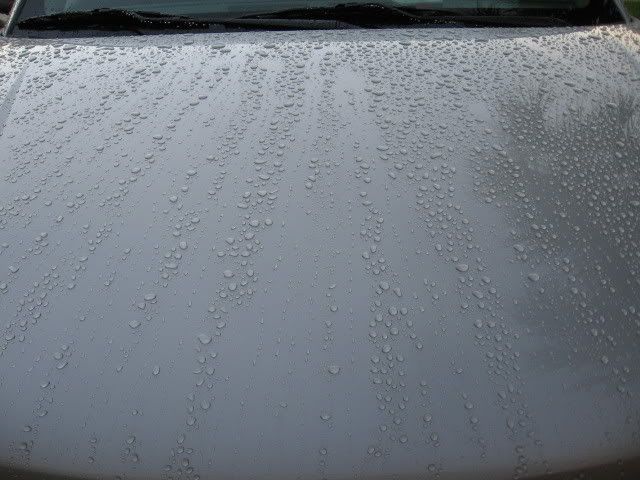 08Malibu-Silver078.jpg