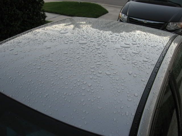 08Malibu-Silver079.jpg