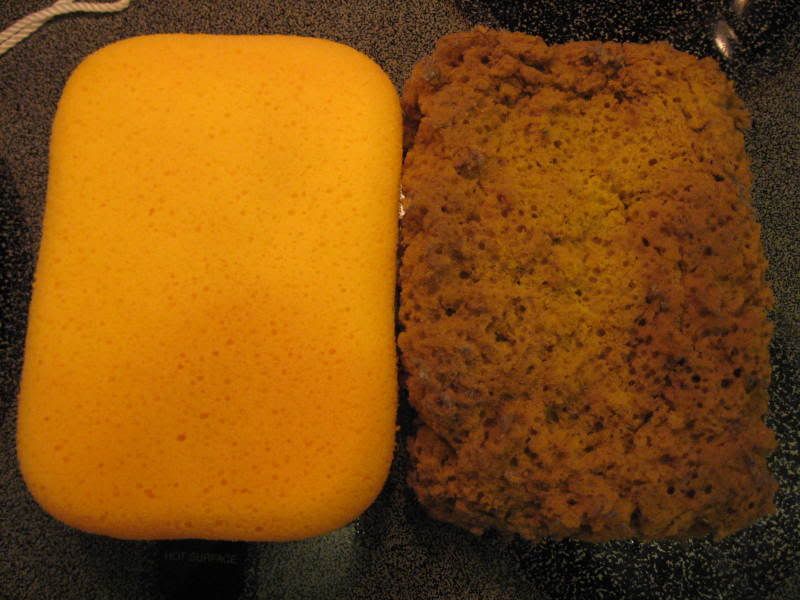 GroutSponge.jpg