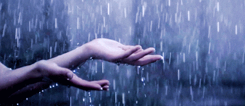 photo rain.gif