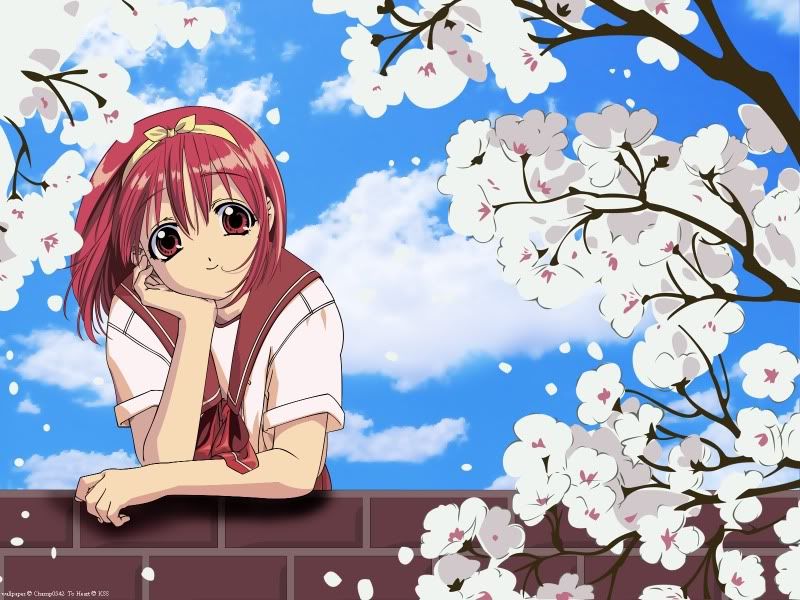 [PokeCommunity.com] Final Day: Day 30 - Favorite Anime