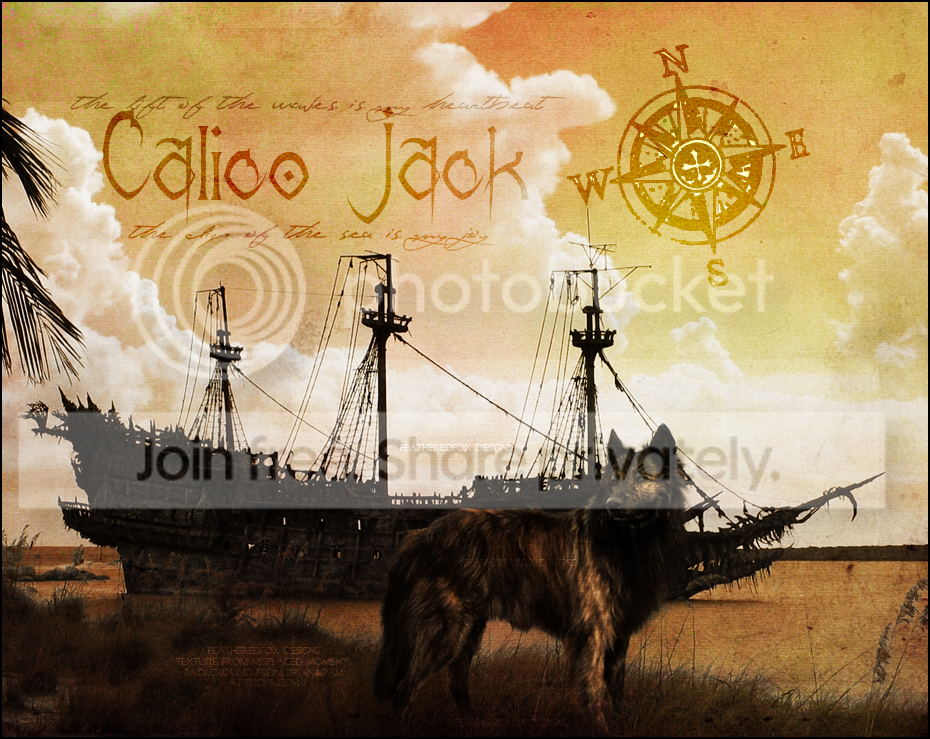 Calico Jack by Featheredfox-designs on DeviantArt