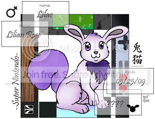 User Image
