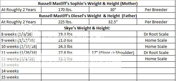 Skye ~ Our Female English Mastiff ~ Growth Chart | Mastiff Forum
